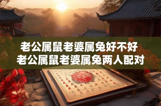 老公属鼠老婆属兔好不好 老公属鼠老婆属兔两人配对好吗 老公属鼠老婆属兔好不好 老公属鼠老婆属兔两人配对好吗