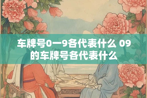 车牌号0一9各代表什么 09的车牌号各代表什么