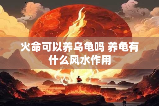 火命可以养乌龟吗 养龟有什么风水作用