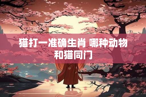 猫打一准确生肖 哪种动物和猫同门