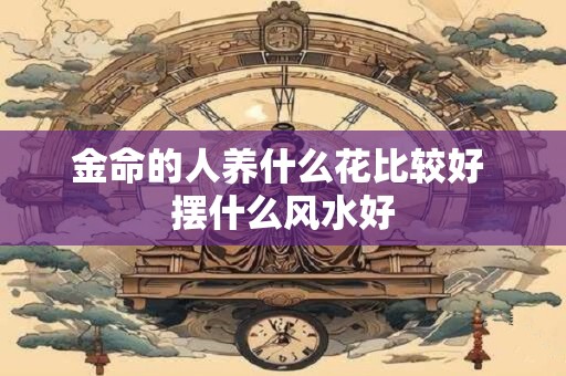 金命的人养什么花比较好 摆什么风水好