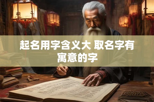 起名用字含义大 取名字有寓意的字 起名用字含义大 取名字有寓意的字