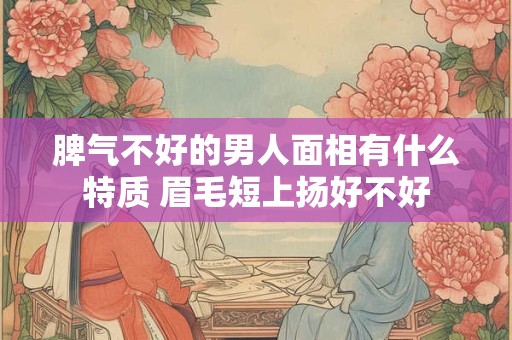 脾气不好的男人面相有什么特质 眉毛短上扬好不好