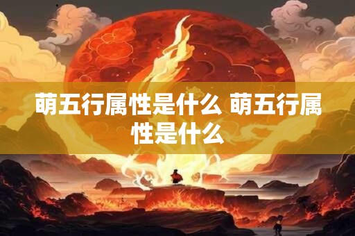 萌五行属性是什么 萌五行属性是什么