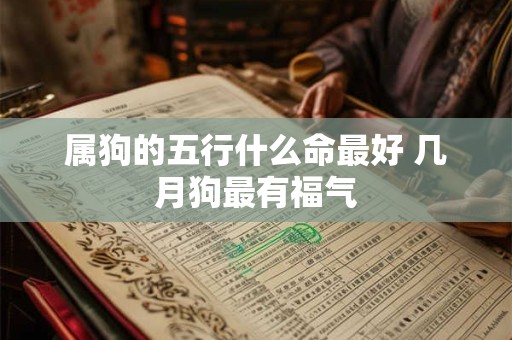 属狗的五行什么命最好 几月狗最有福气