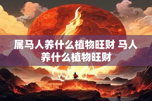 属马人养什么植物旺财 马人养什么植物旺财
