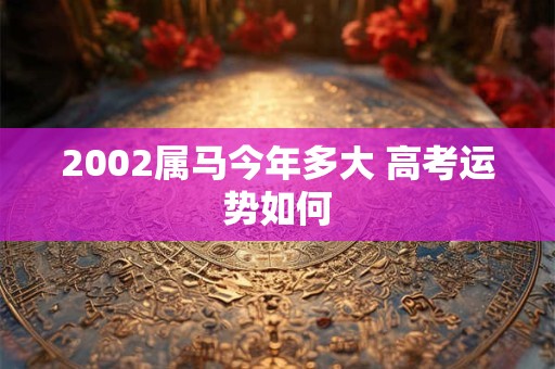 2002属马今年多大 高考运势如何