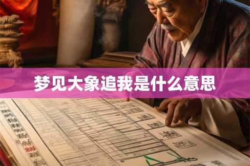 梦见大象追我是什么意思