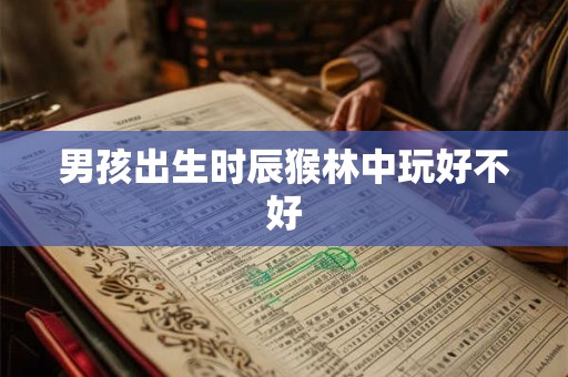 男孩出生时辰猴林中玩好不好