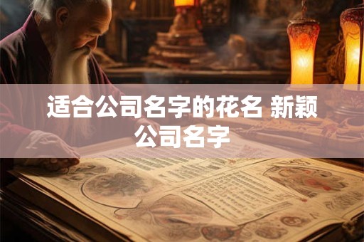 适合公司名字的花名 新颖公司名字