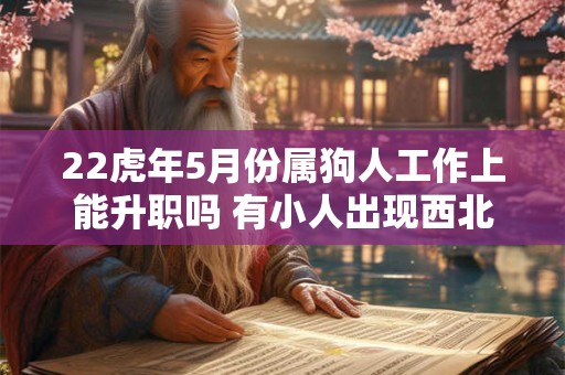 22虎年5月份属狗人工作上能升职吗 有小人出现西北方可改善