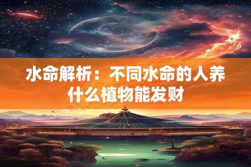 水命解析：不同水命的人养什么植物能发财