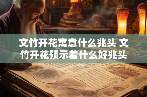 文竹开花寓意什么兆头 文竹开花预示着什么好兆头