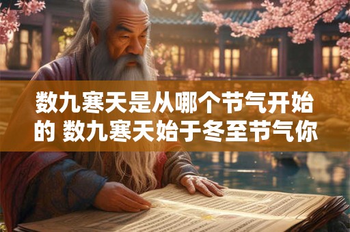 数九寒天是从哪个节气开始的 数九寒天始于冬至节气你知道吗