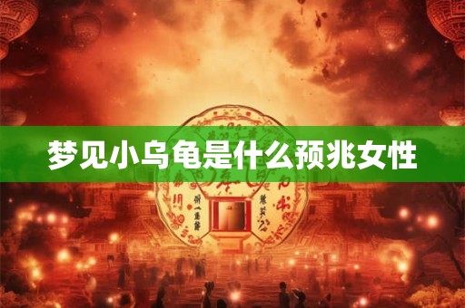 梦见小乌龟是什么预兆女性