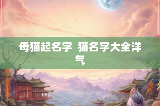 母猫起名字  猫名字大全洋气