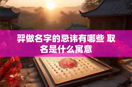 羿做名字的忌讳有哪些 取名是什么寓意