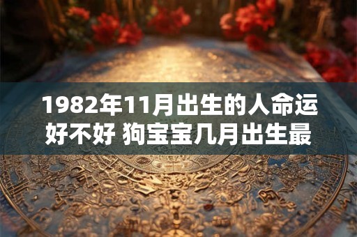 1982年11月出生的人命运好不好 狗宝宝几月出生最好