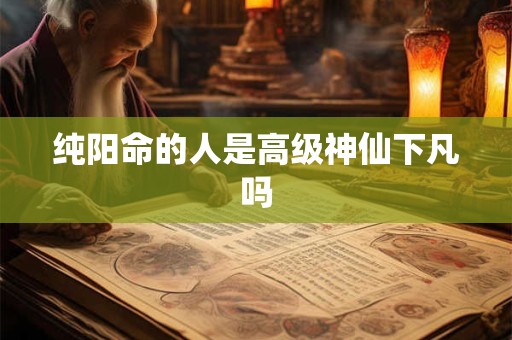 纯阳命的人是高级神仙下凡吗