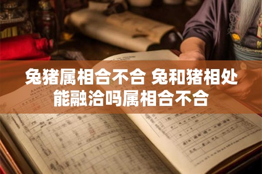 兔猪属相合不合 兔和猪相处能融洽吗属相合不合