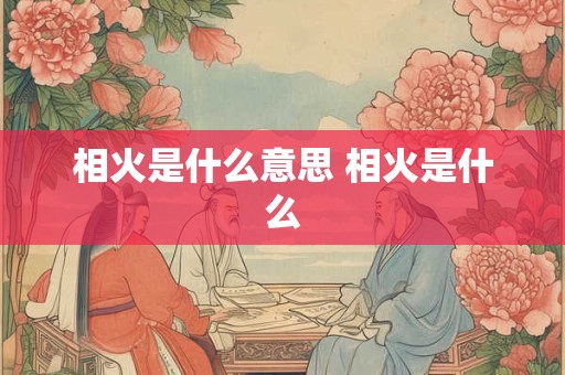 相火是什么意思 相火是什么