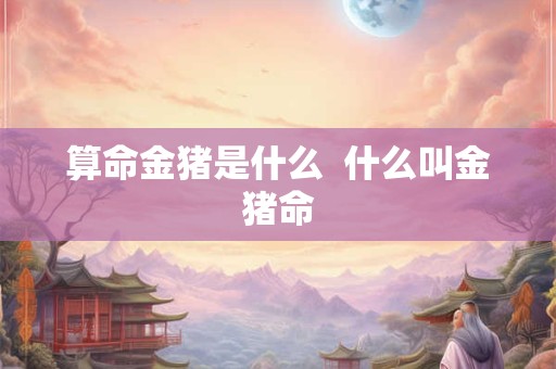 算命金猪是什么  什么叫金猪命