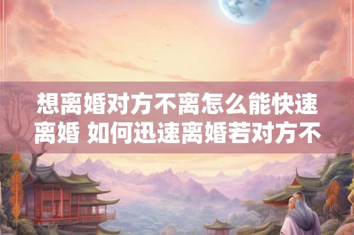 想离婚对方不离怎么能快速离婚 如何迅速离婚若对方不同意
