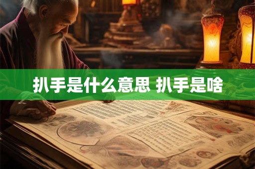 扒手是什么意思 扒手是啥