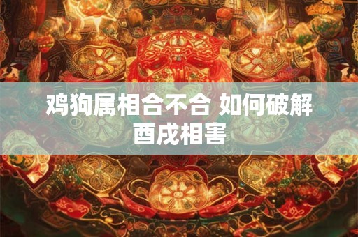 鸡狗属相合不合 如何破解酉戌相害