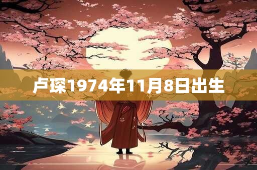 卢琛1974年11月8日出生