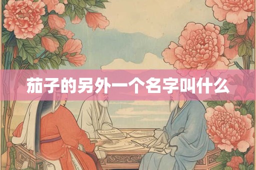 茄子的另外一个名字叫什么