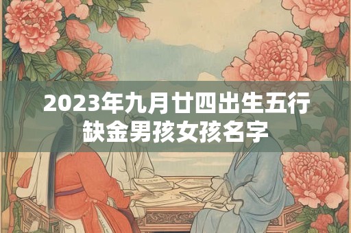 2023年九月廿四出生五行缺金男孩女孩名字