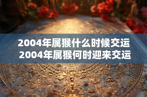 2004年属猴什么时候交运 2004年属猴何时迎来交运