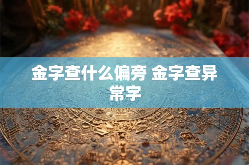 金字查什么偏旁 金字查异常字