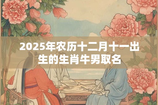 2025年农历十二月十一出生的生肖牛男取名