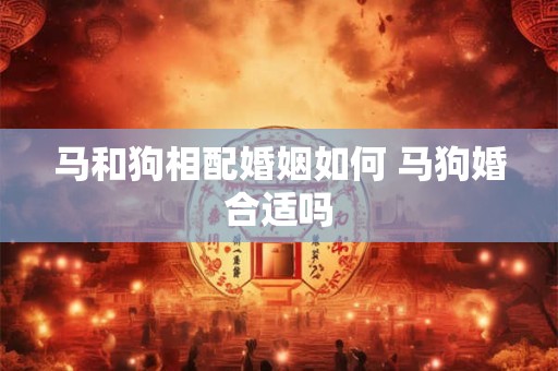 马和狗相配婚姻如何 马狗婚合适吗
