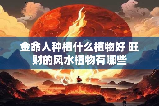 金命人种植什么植物好 旺财的风水植物有哪些