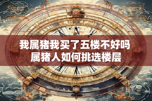 我属猪我买了五楼不好吗 属猪人如何挑选楼层