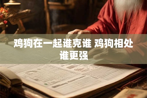 鸡狗在一起谁克谁 鸡狗相处谁更强