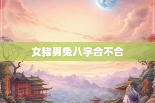 女猪男兔八字合不合