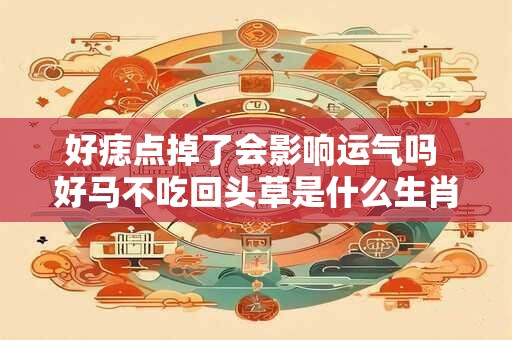 好痣点掉了会影响运气吗 好马不吃回头草是什么生肖