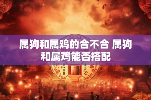 属狗和属鸡的合不合 属狗和属鸡能否搭配