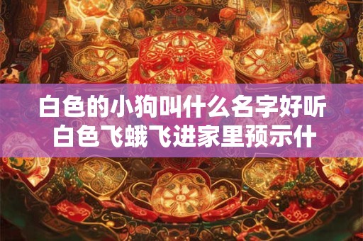 白色的小狗叫什么名字好听 白色飞蛾飞进家里预示什么