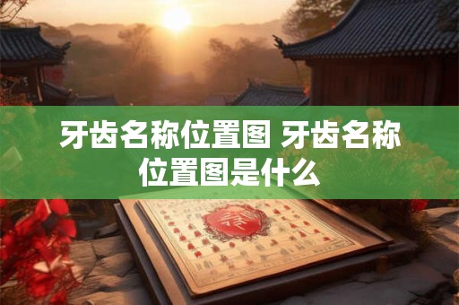 牙齿名称位置图 牙齿名称位置图是什么