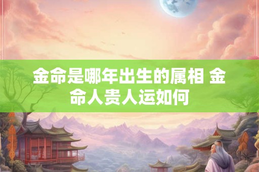 金命是哪年出生的属相 金命人贵人运如何