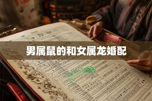 男属鼠的和女属龙婚配