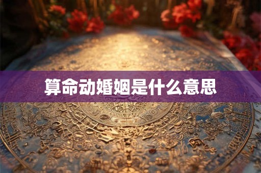算命动婚姻是什么意思