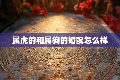 属虎的和属狗的婚配怎么样