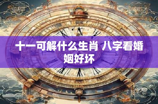 十一可解什么生肖 八字看婚姻好坏