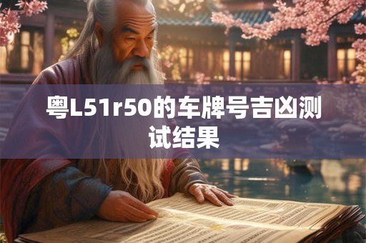 粤L51r50的车牌号吉凶测试结果